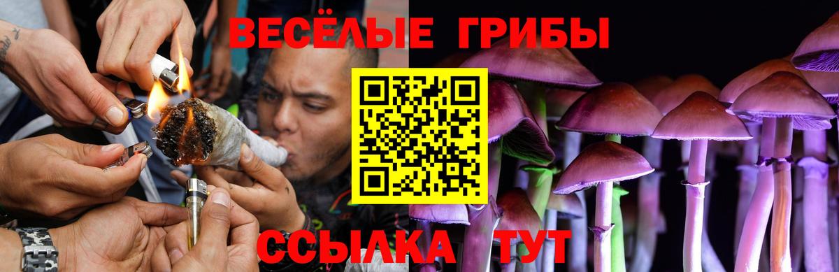 Электросталь  Псилоцибиновые грибы Cubensis  где купить наркоту  Вход с VPN 